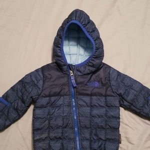 Warm thermoball infant jacket